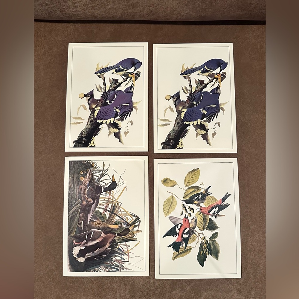 4 Audubon Art Prints